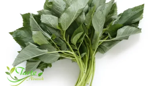 Egyptian Molokhia | The Ancient Superfood Turning Modern