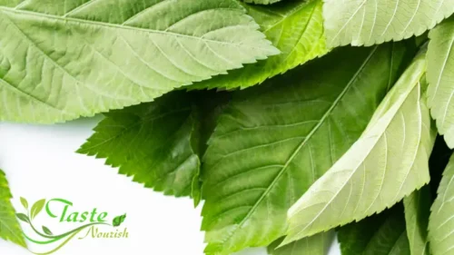 The Remarkable Benefits of Mulukhiyah | A Nutritional Powerhouse