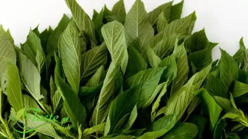 Dried Molokhia | Complete Nutrition Guide with Calories, Health Benefits