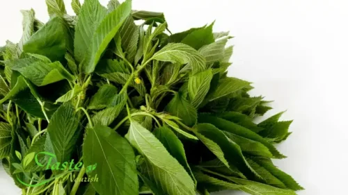 Side Effects of Molokhia