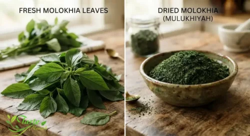 Side-by-side comparison of fresh green molokhia leaves and dried molokhia