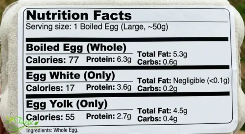 calories in a boiled egg — egg white and yolk calorie breakdown