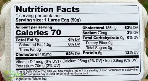Calories in an Egg | Full Nutrition Guide (Boiled, Fried & Raw) 