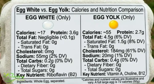 egg white vs egg yolk calories and nutrition comparison