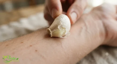 Garlic Side Effects