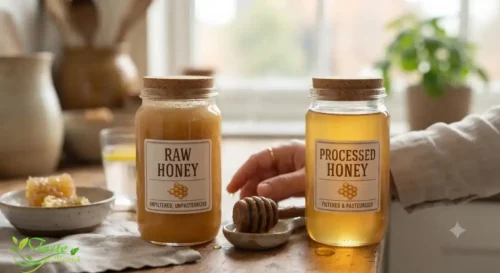 Raw Honey Digestion Benefits: Does It Really Help Your Gut?