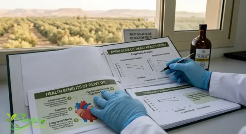 charts related to olive oil health studies