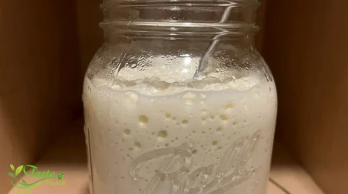  Homemade Yogurt : Close-up of yogurt culture bubbling during fermentation in a glass jar