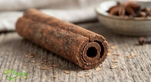 Single thick cassia cinnamon stick showing its hard, one-layer roll