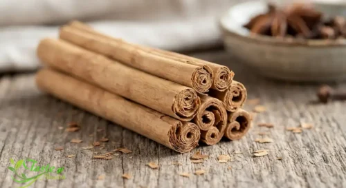 Ceylon vs Cassia Cinnamon: multi-layered Ceylon cinnamon quills rolled like a cigar